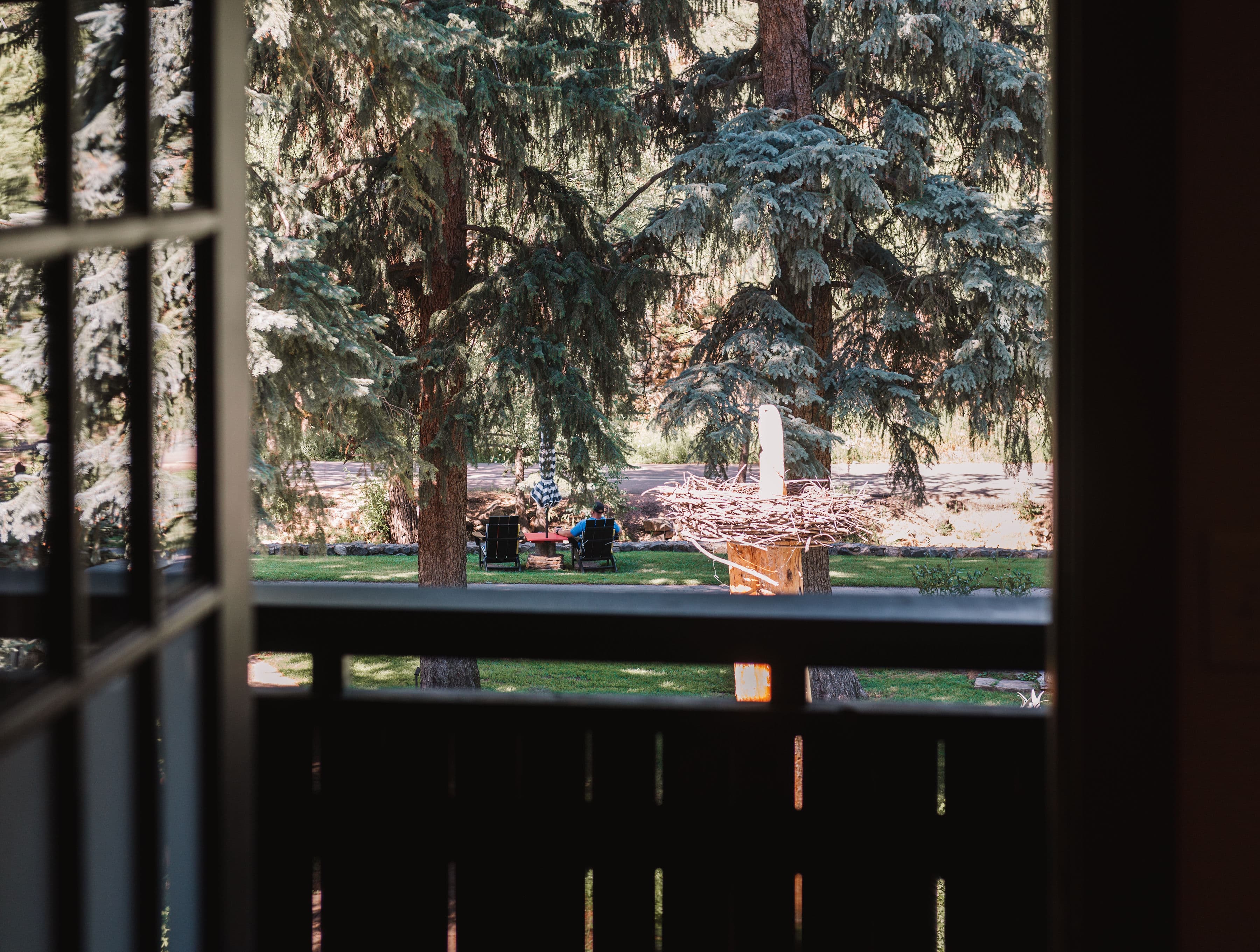 View out of balcony door showing pine trees and garden below.