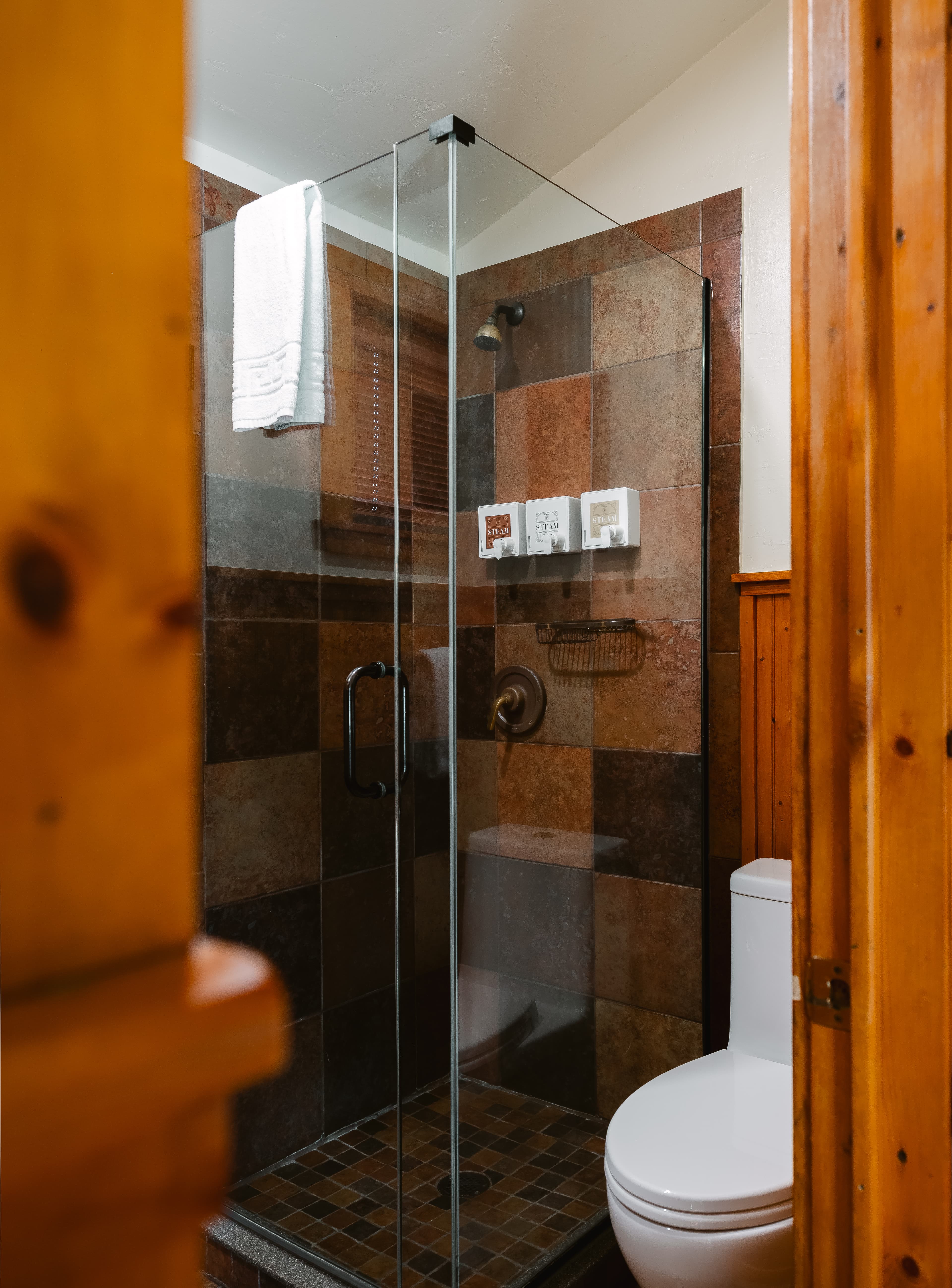 Walk in glass shower