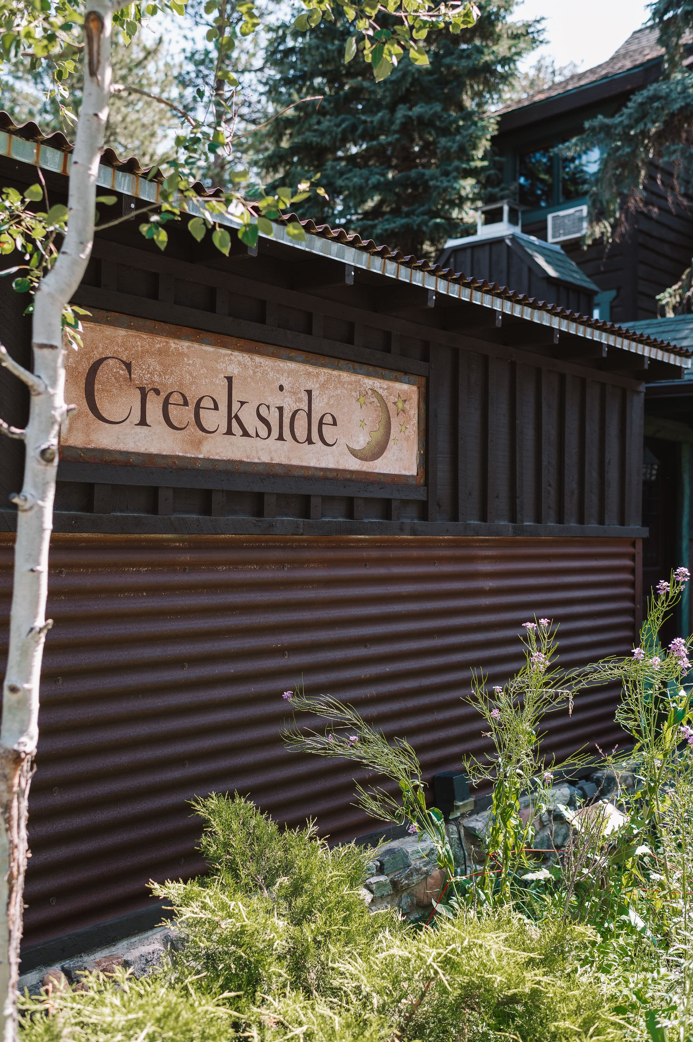 Trees in front of wood cabin with deck