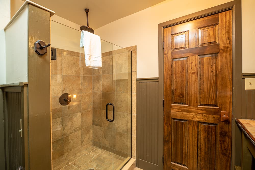 glass shower with tile, large wood door
