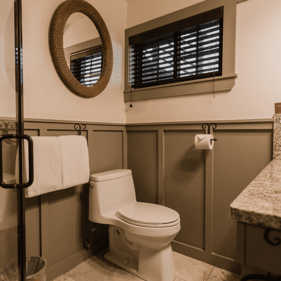 bathroom with green wainscotting, white toilet, granite counter top with sink, glass door shower.