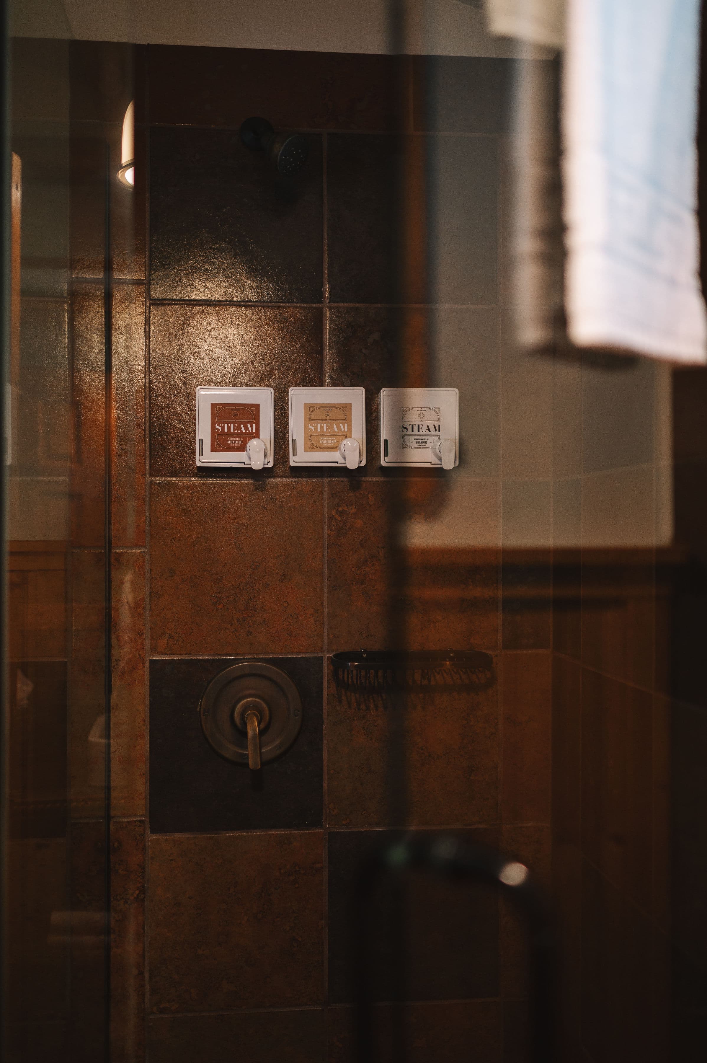 Glass shower