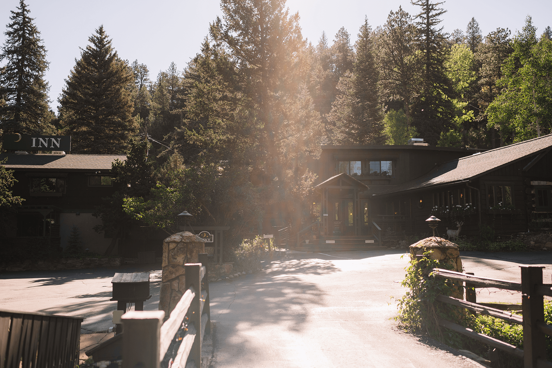 A rustic inn surrounded by tall pine trees and sunlight.