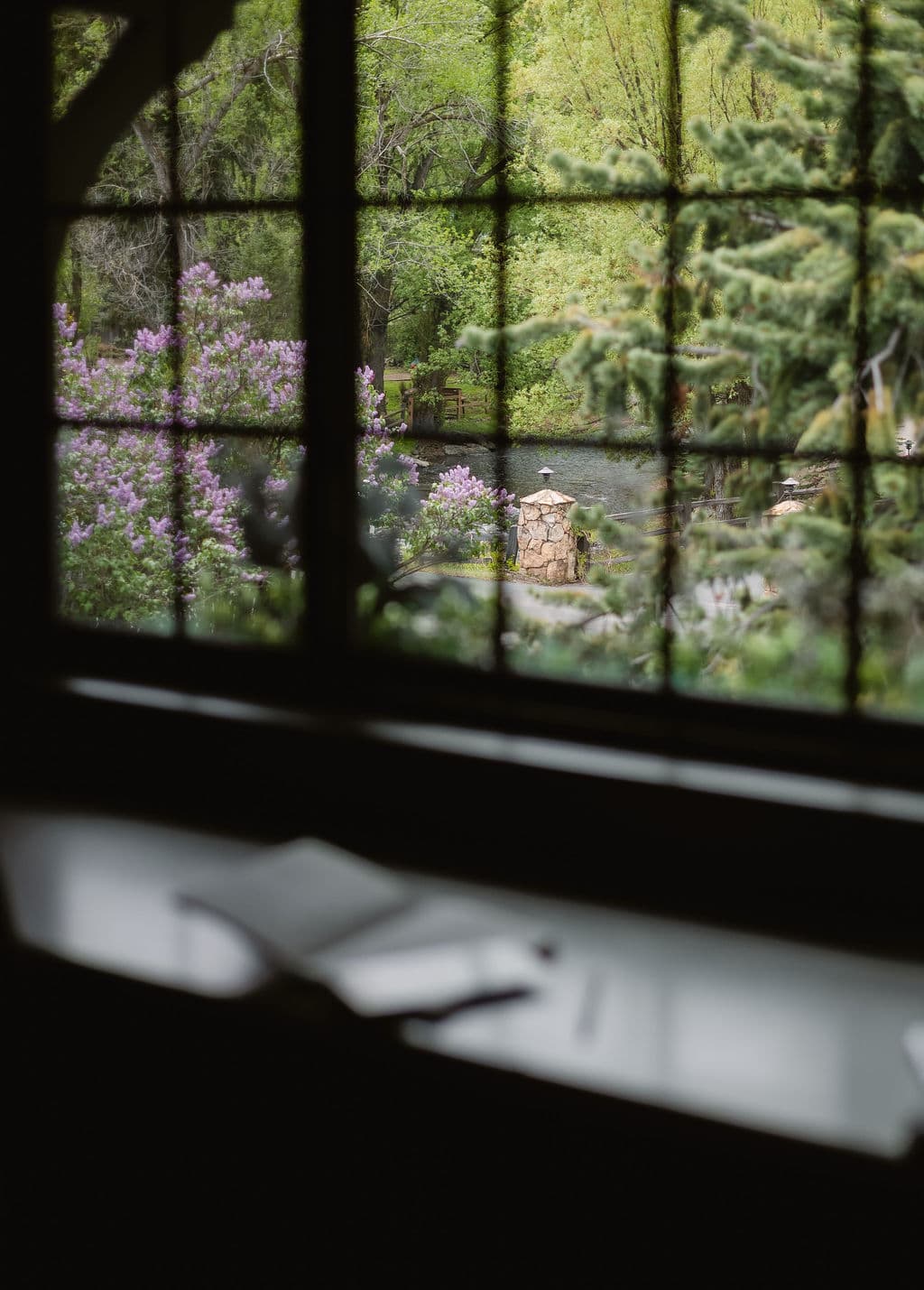 A view of a tranquil garden with purple flowers and a pond, seen through a window.