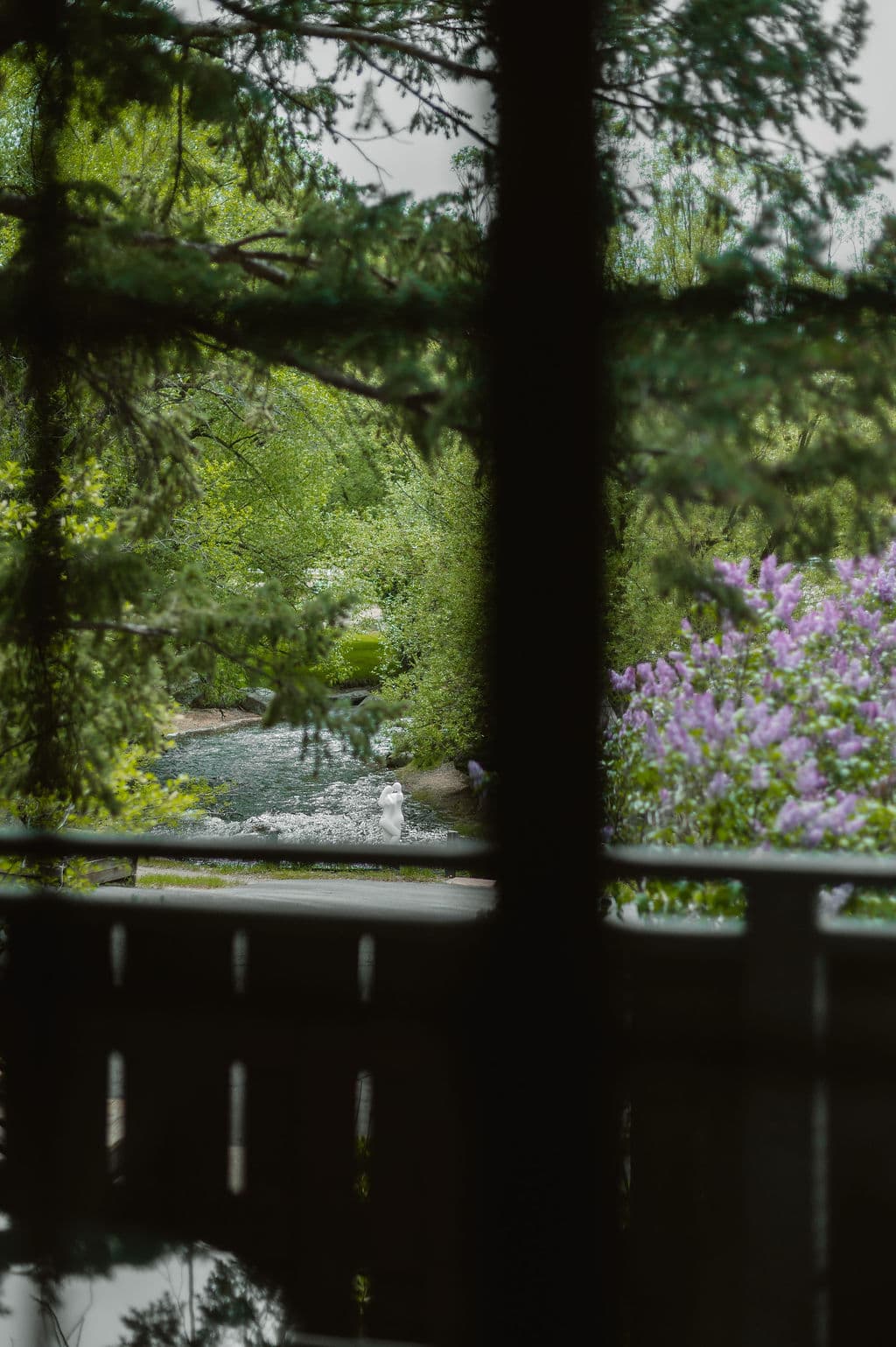 A view of a tranquil creek surrounded by lush greenery and blooming flowers, seen through a wooden railing.