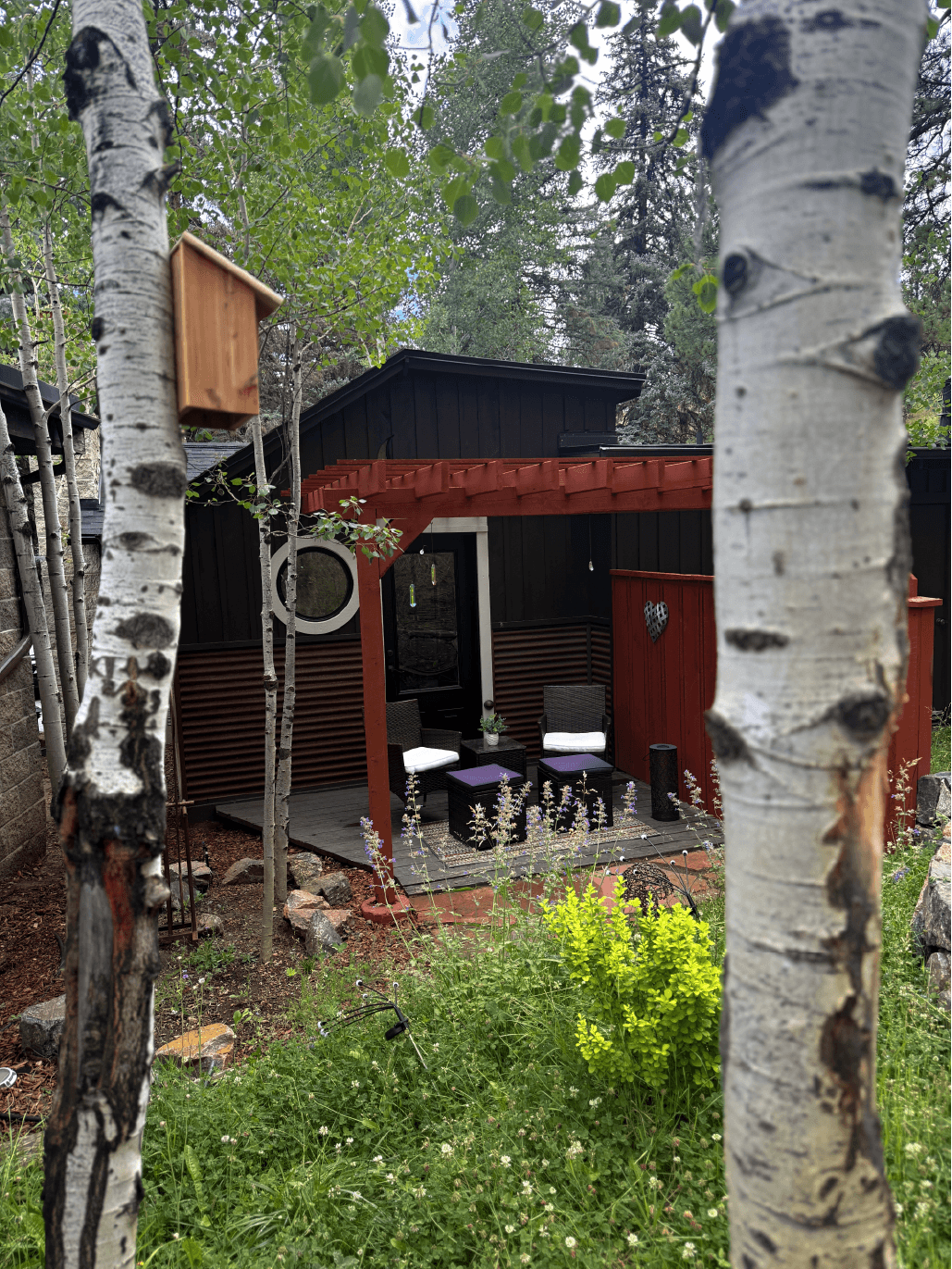 A modern cabin sits among aspen trees with outdoor seating and decorative plants.