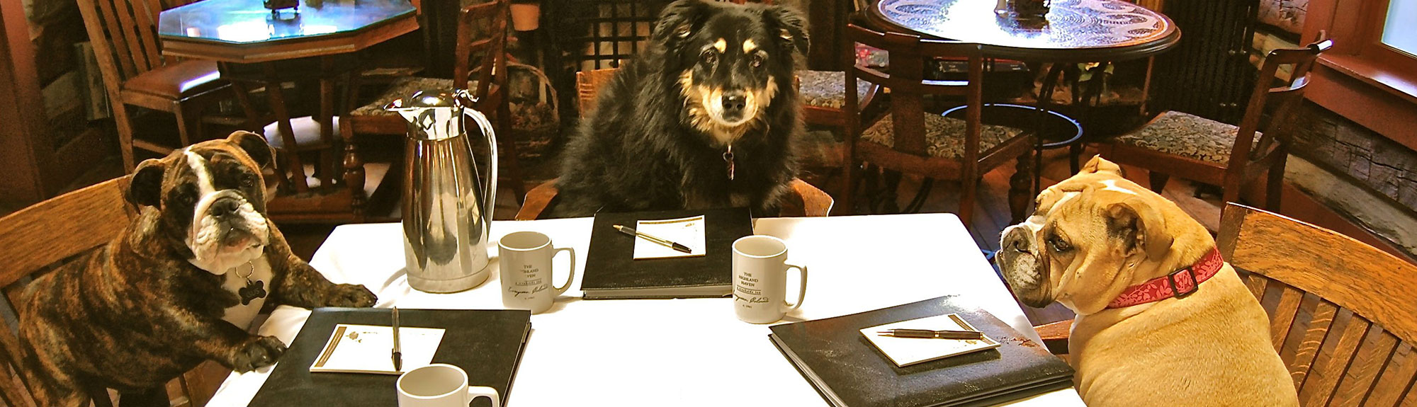Dogs at Table